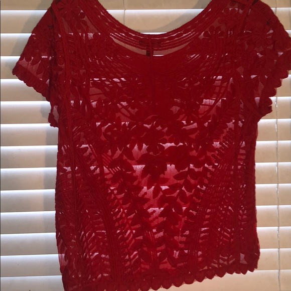 Lace Top - Picture 3 of 4